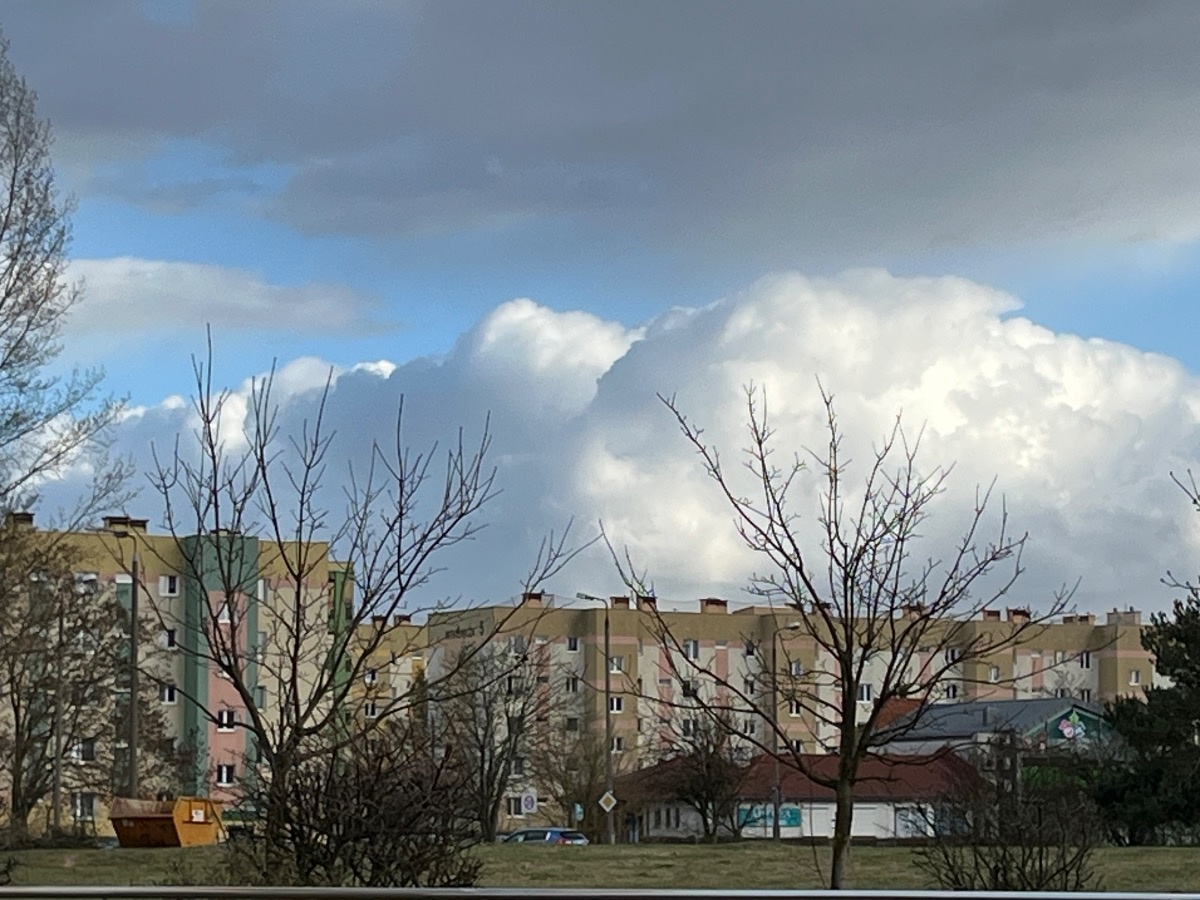 6e1f8ddc-f0c9-4a77-a413-e2cf92f6e357