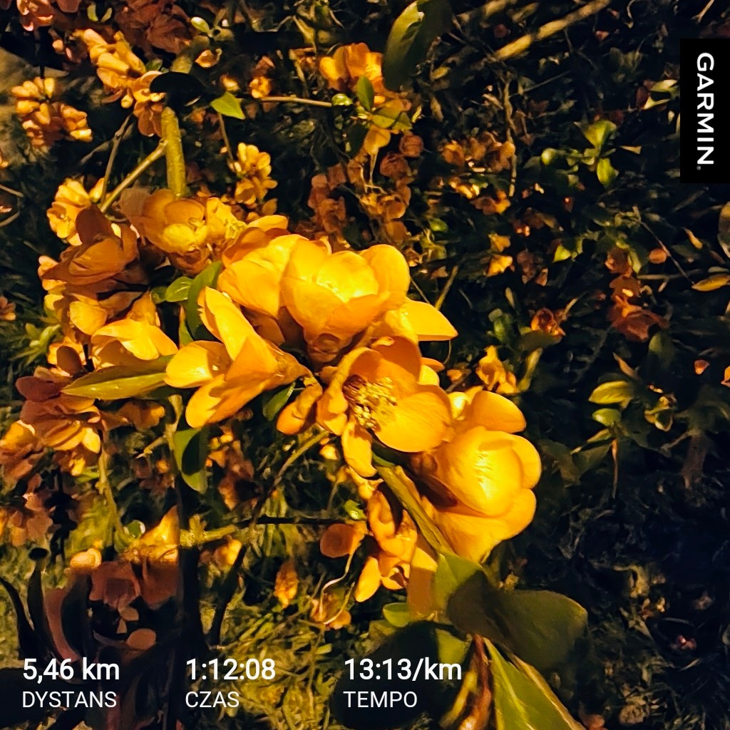 bcc0c4a7-7c60-4991-b81a-ddac6d5ba999