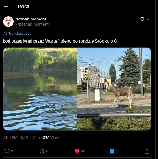 fac72b99-4072-4626-b0eb-a9518dfc2f62