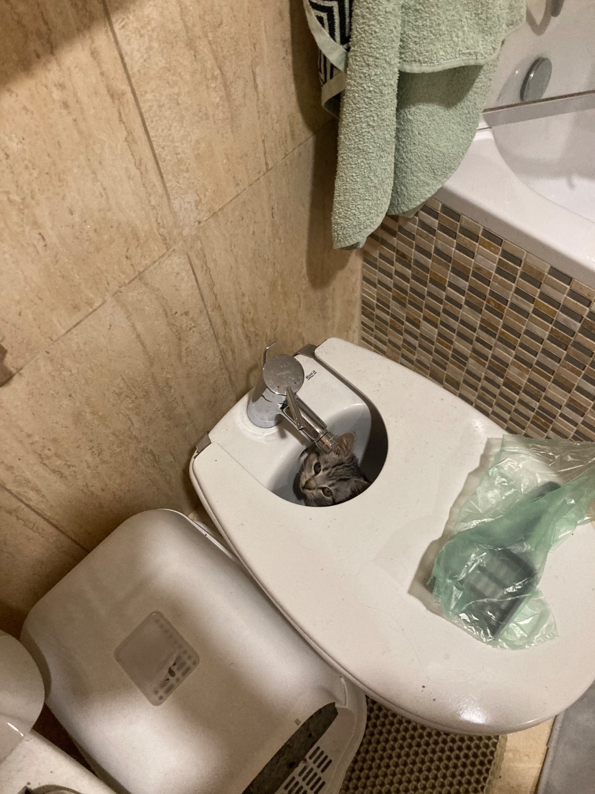 b8a5ffc5-eaac-4658-8fe1-abb8aca223ac