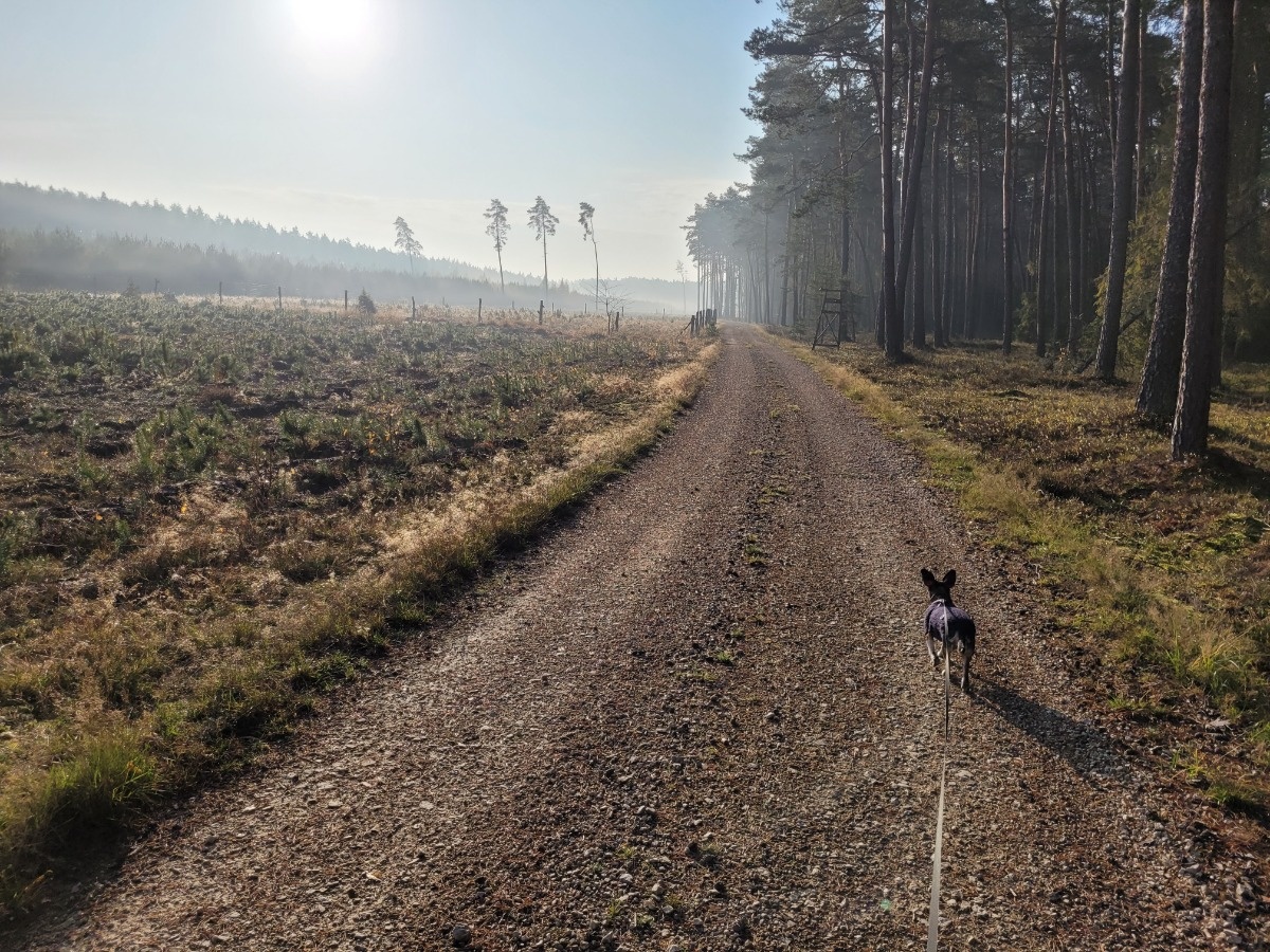 7ee456b8-4535-4eee-bb22-1a646caef11e