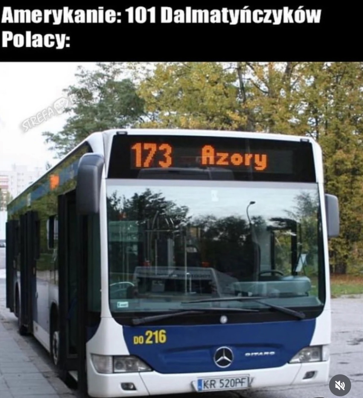 c51c59d1-cfde-4d57-b000-9279f090f5f3