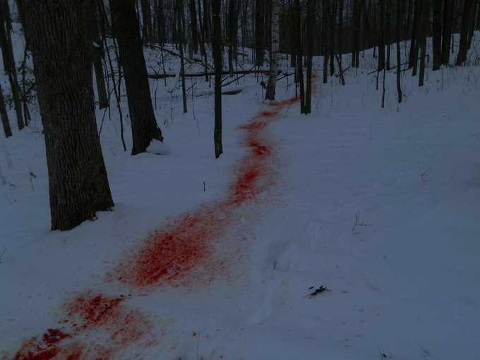 43050e23-2bf5-470a-93ac-e84710e9cf40