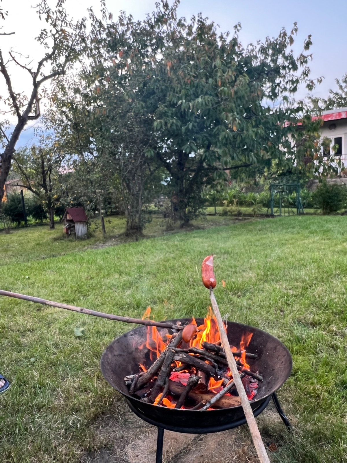 faf7611d-9434-45fd-be0d-8b8961528f96