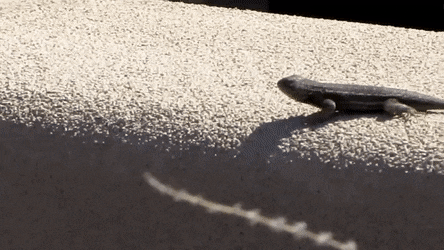 f3f335d9-e8a8-4293-a15f-426f2964675a