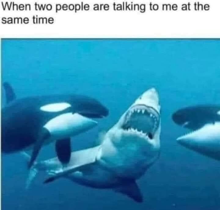 52985f3c-3adf-4a24-bfa3-576ed38ba2b4