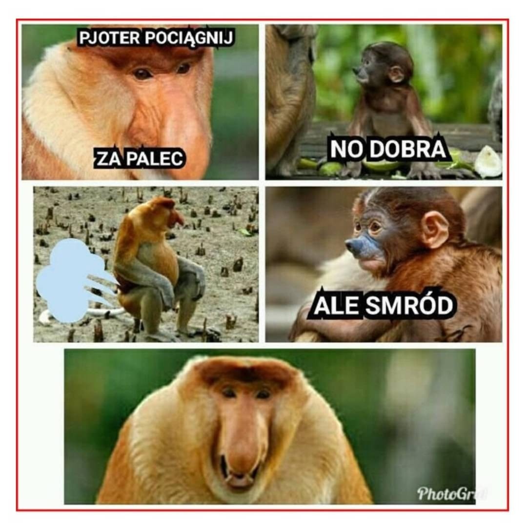 51e4a45d-e037-4dfb-ba94-3e0f7b9fe854