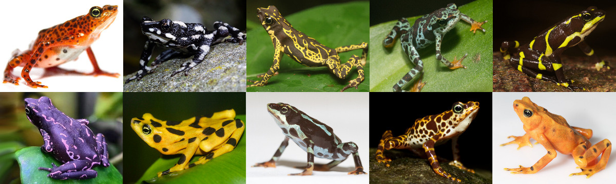 56b32c3f-6e6b-4f7a-b874-c2e3ea9e6f05