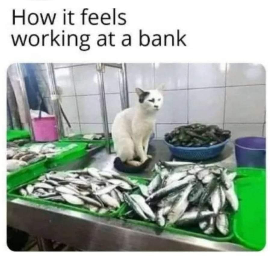 8986ed82-a8cc-44f9-926a-b0ac5079f04a