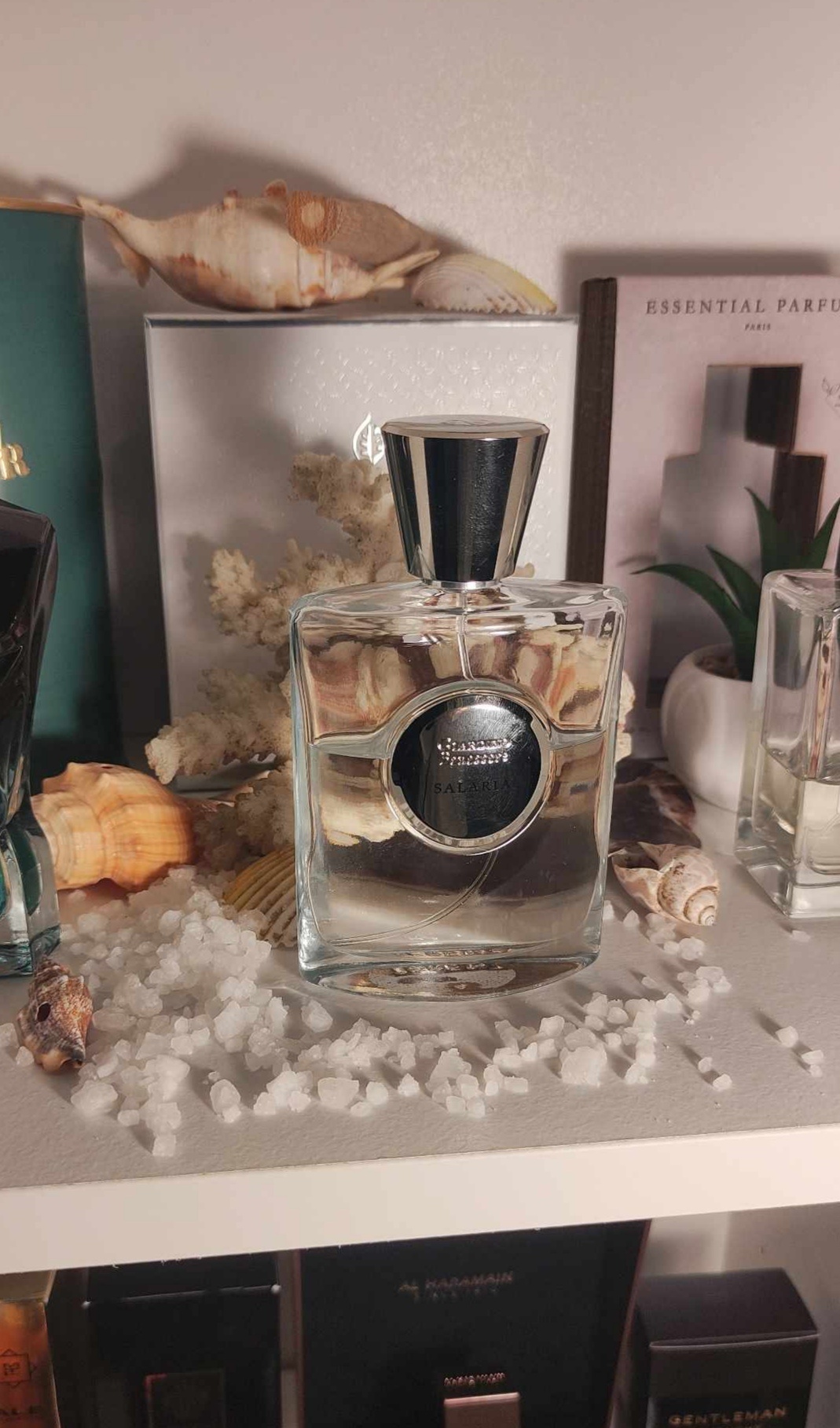 98a2e334-8712-497b-8445-00585a1fe12a