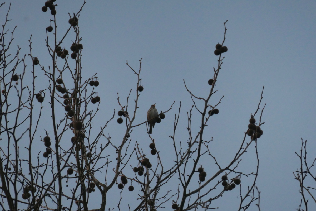 67152bdf-1aae-4673-87ff-934dff558f67