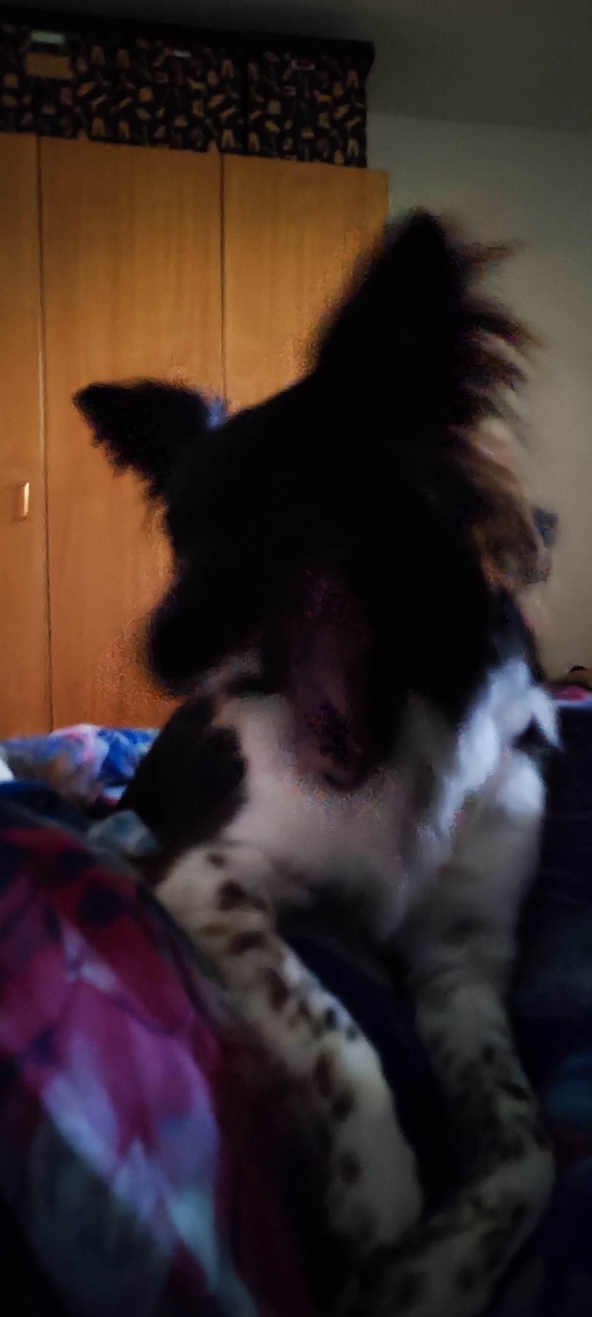 5bc342aa-8973-413f-991e-5677b4142430