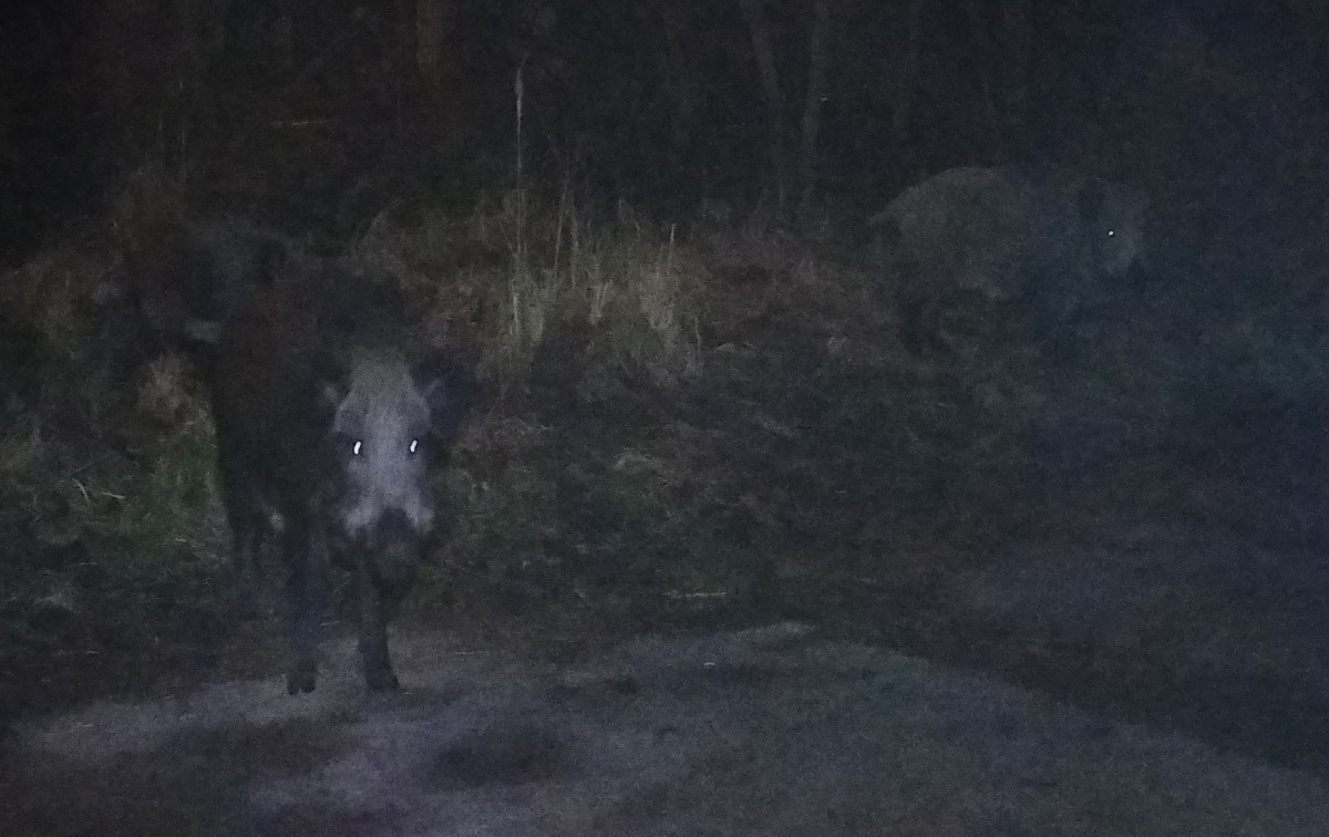 ecc479b0-426a-449c-9fcb-39344fb26cba