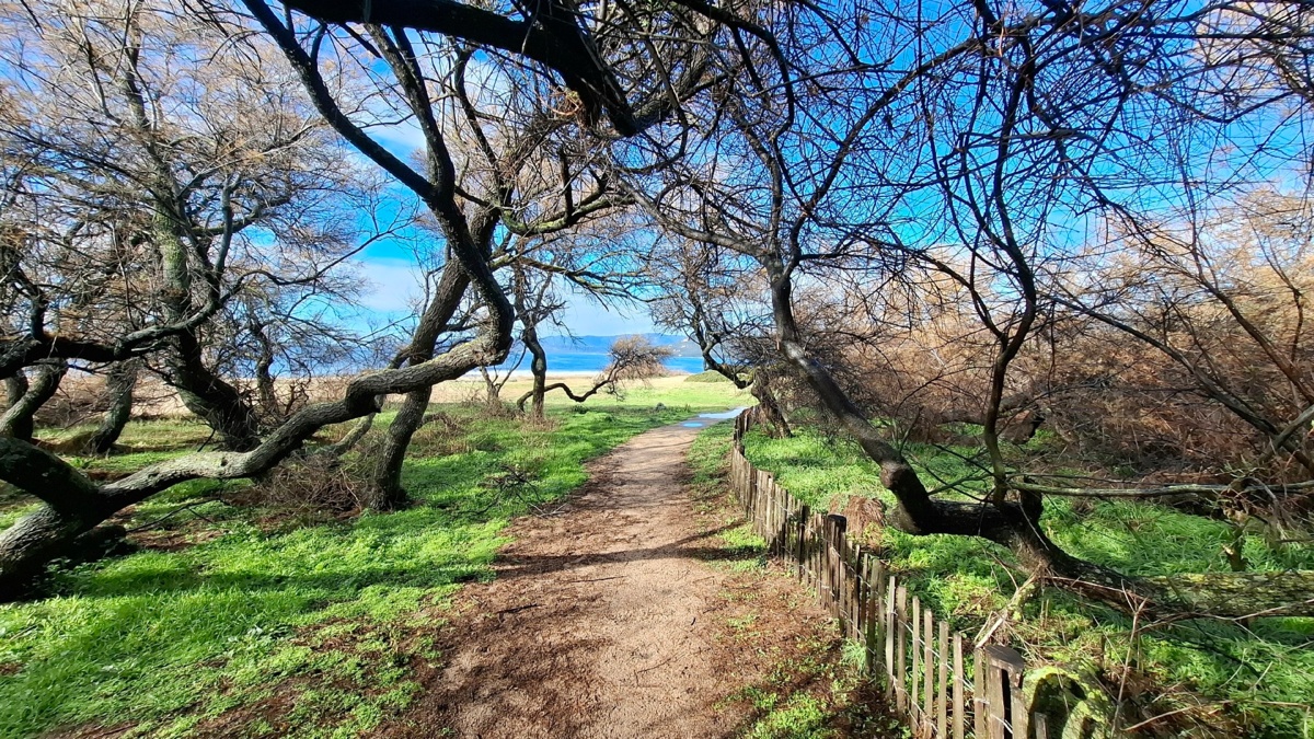 b718bc21-aa78-4e5a-8150-70a496463d8c