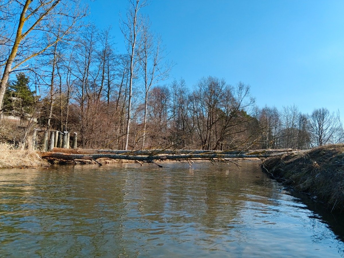 4338a030-22db-424b-b8d6-82e3905de86c