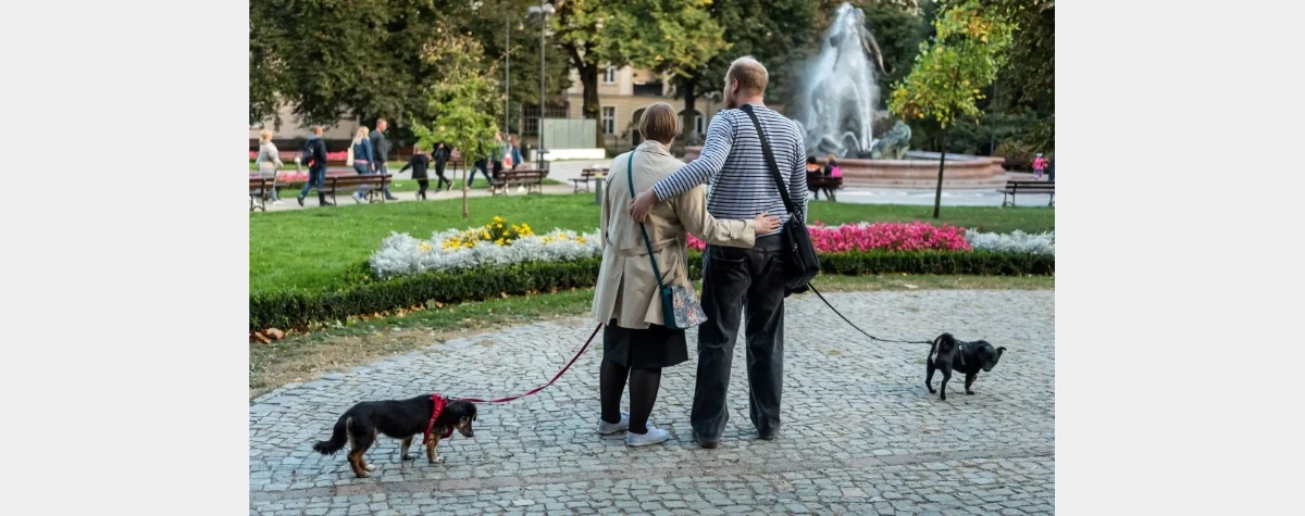 W Polsce przybywa związków nieformalnych. GUS podał dane