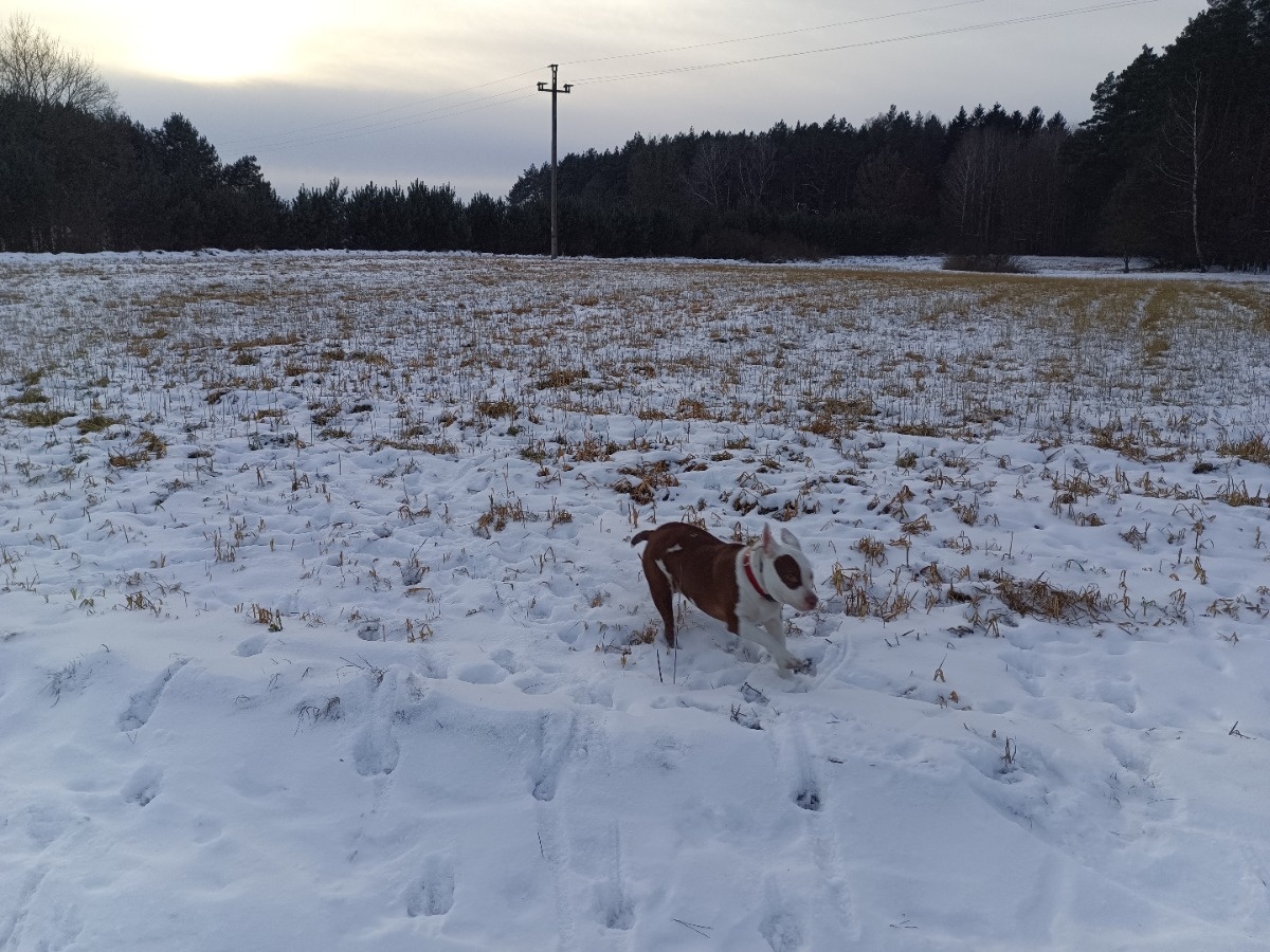 012fc280-abdb-4399-b454-5e3939463734