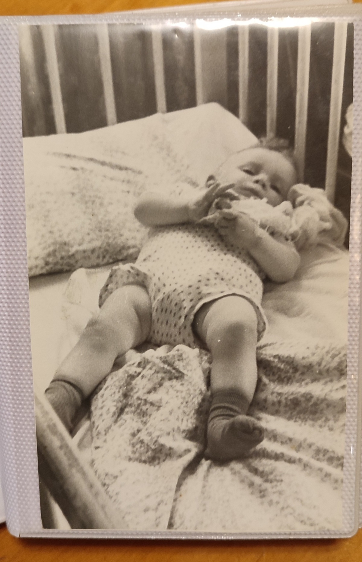 b6928949-c338-4ecd-a2bb-ddf0c4a670f7