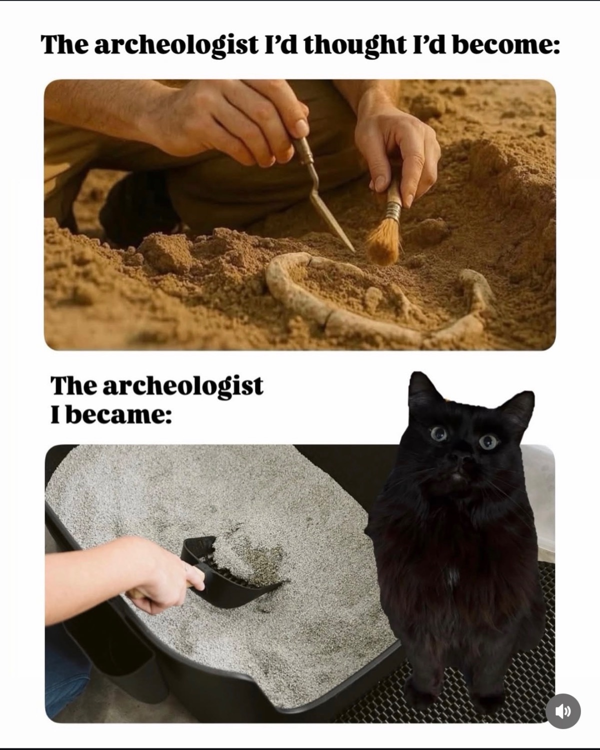 6e5e7ee7-1f05-4701-8516-4978a105bb8d