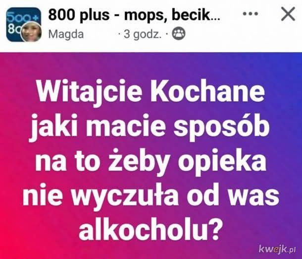 74fbe0b9-71e4-4c12-a973-44a14753a39f