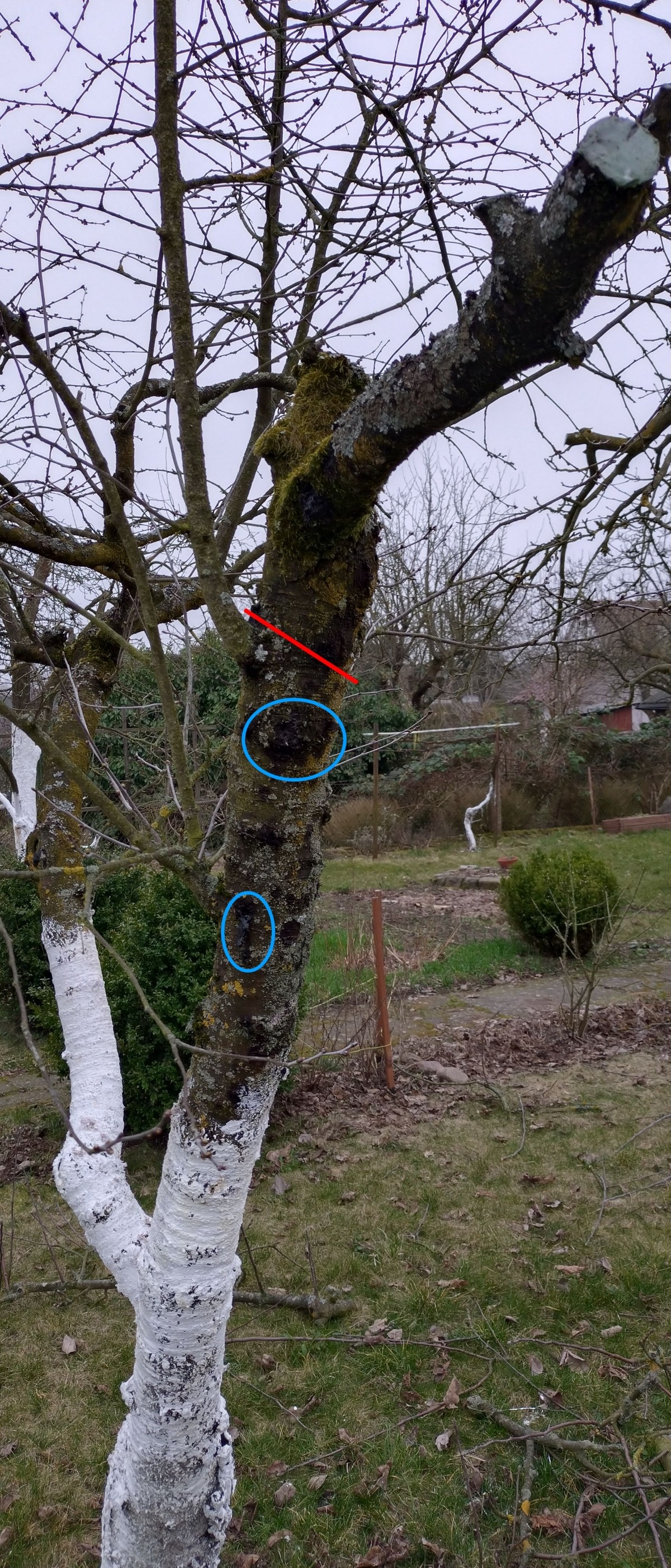 297e0d58-4276-4c5b-a8a0-9849cf89bbb7