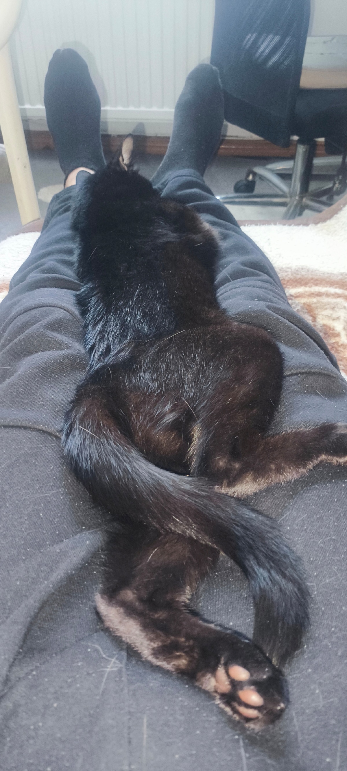 adafc838-b0c6-49b6-96c6-9a394eb3d6ac