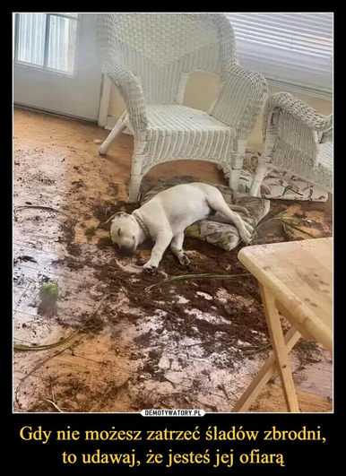 148ebfaa-9764-4717-ae34-0345e32cfa79