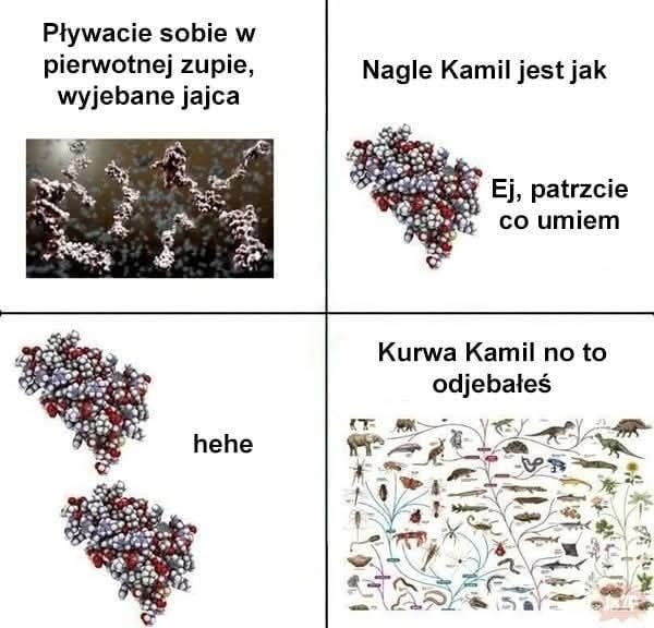 64663d38-e1cf-4514-b537-b32f5e4ef63d