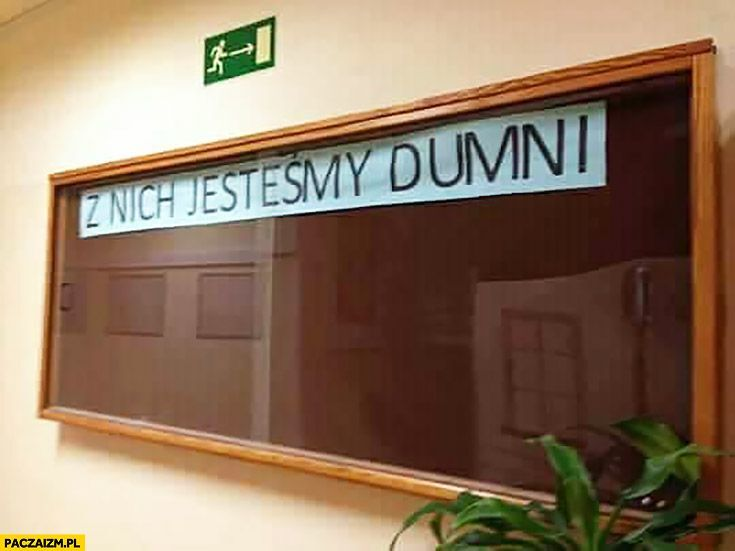 c930d047-ad34-4926-a15f-dd7ec177ae71