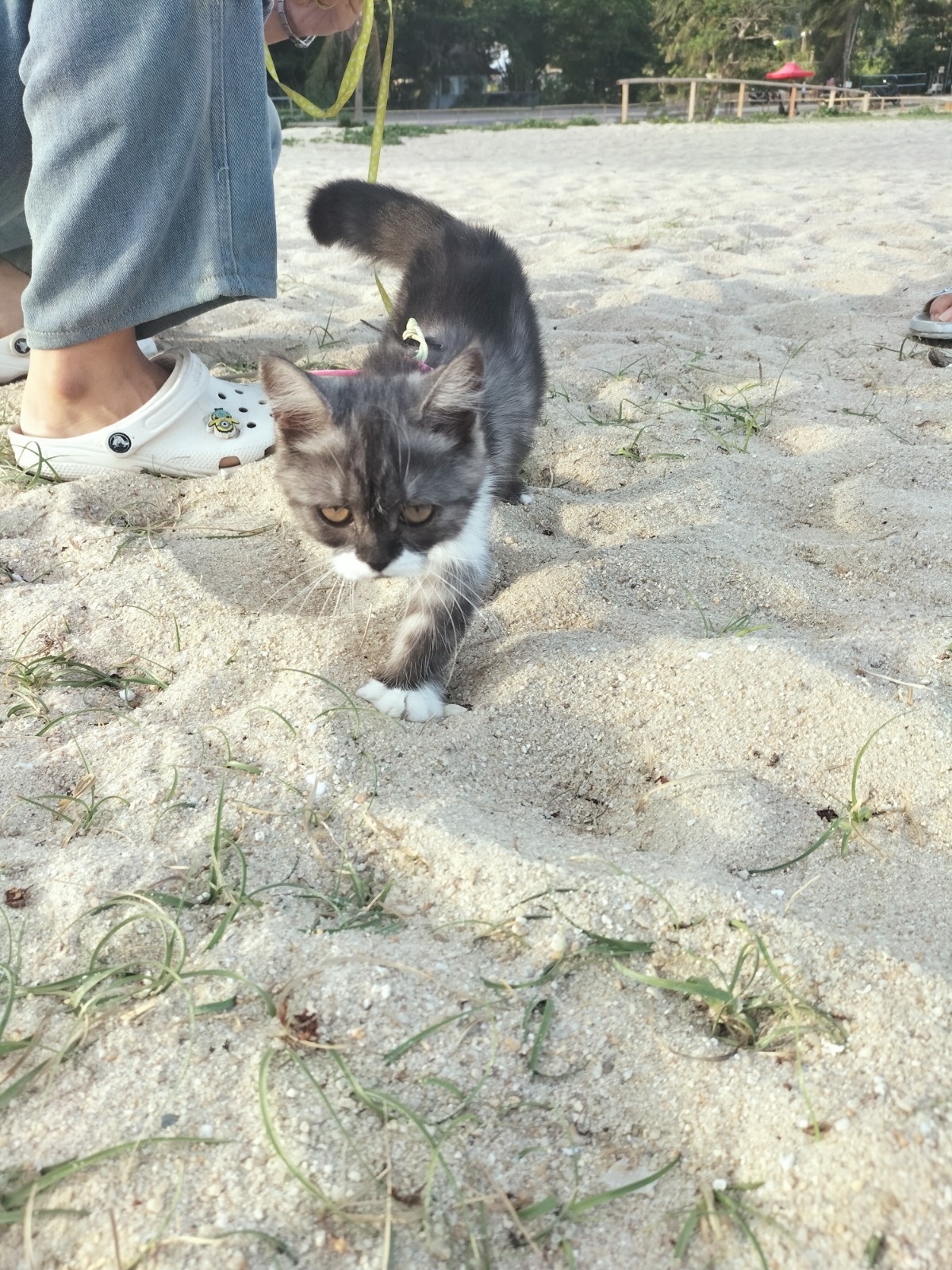 9815a80a-236b-4d4d-ac52-121d8b090d8b