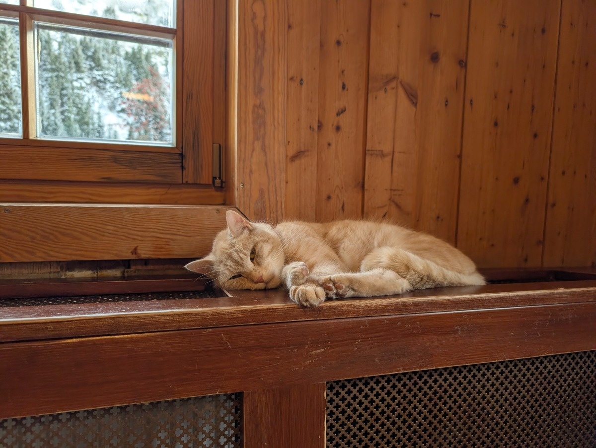 e571f659-7ab0-4d26-ba1b-5ada844da353