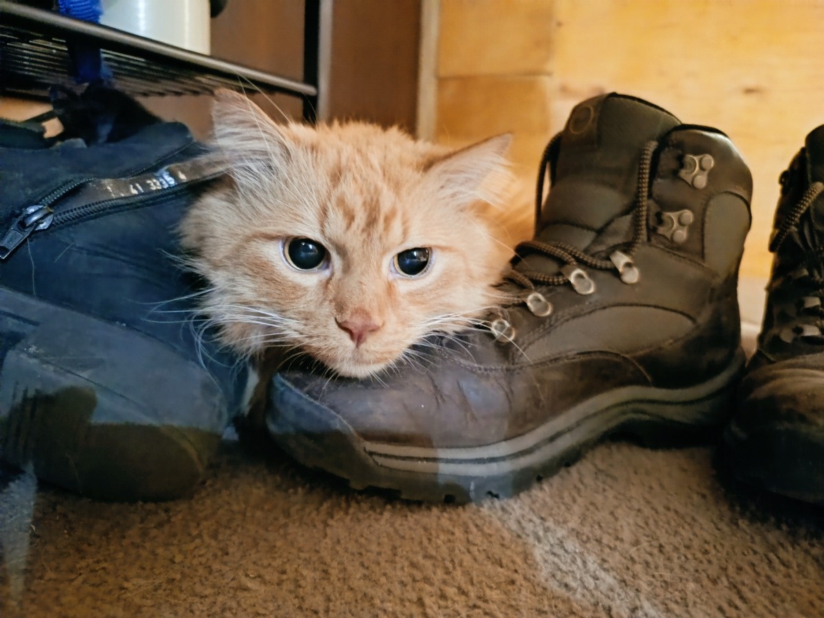 0e4fb4d2-6774-48d3-8334-e7bdb60e9eab