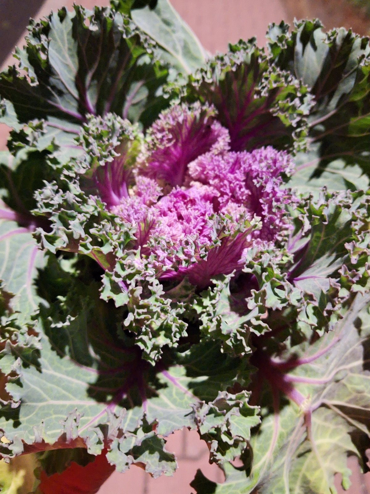 7e7fb25f-9abb-43c7-909d-9e7fcafd945e