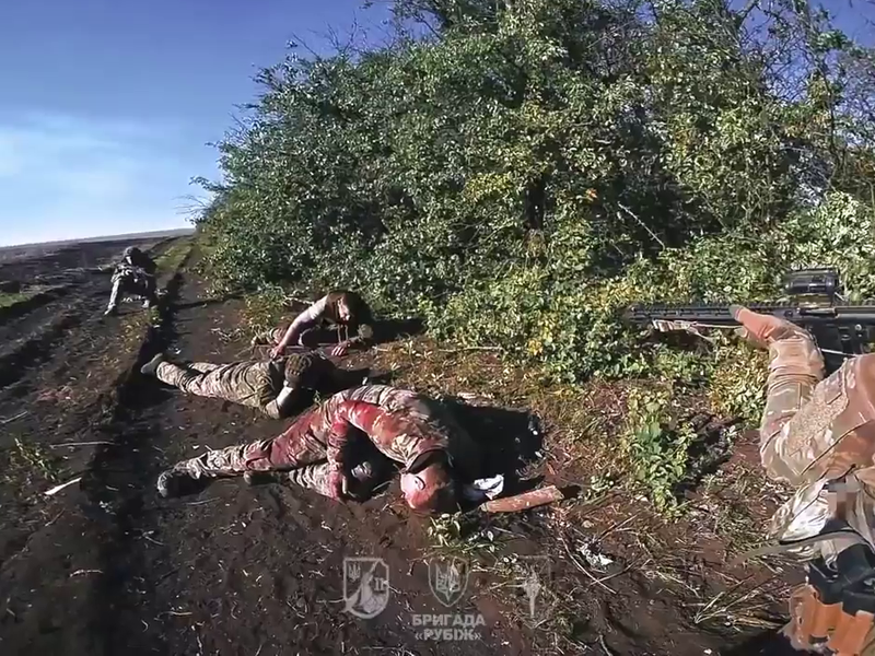 afcf59c6-d58d-4717-8777-6b03aeceaba4