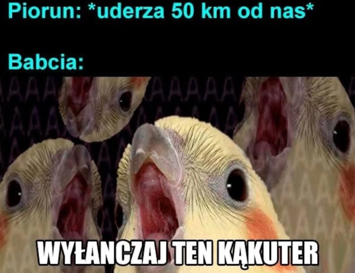 590362fc-67f4-430c-b6d8-4455ceb210e9