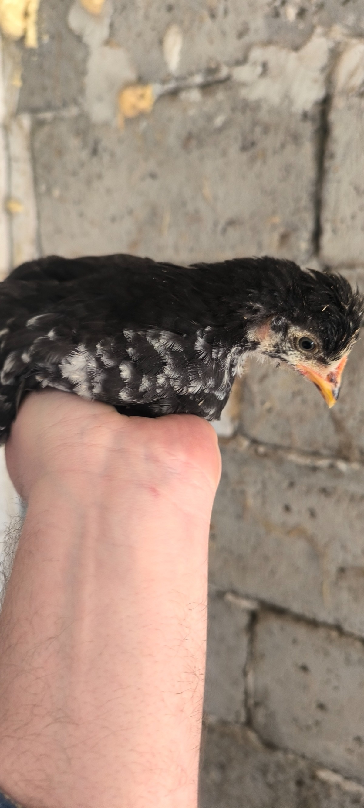 da3102ba-8f69-4652-8ffd-af502b424d19