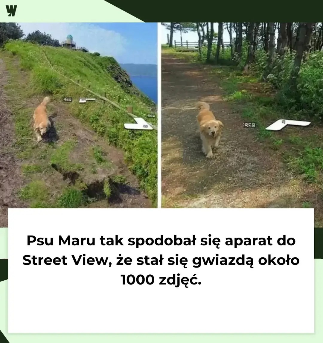 ecdcfae0-4889-40eb-aecb-3bcceff5ad6b