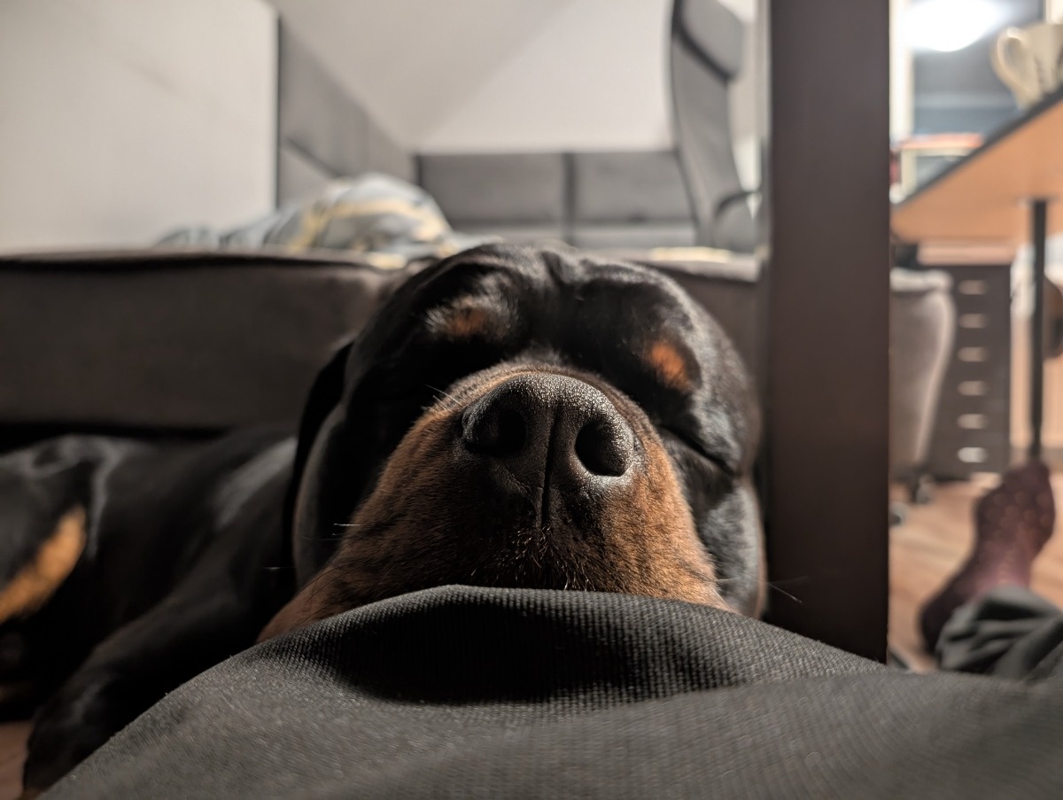 92534926-e948-42c0-88a6-1ea982ccd097