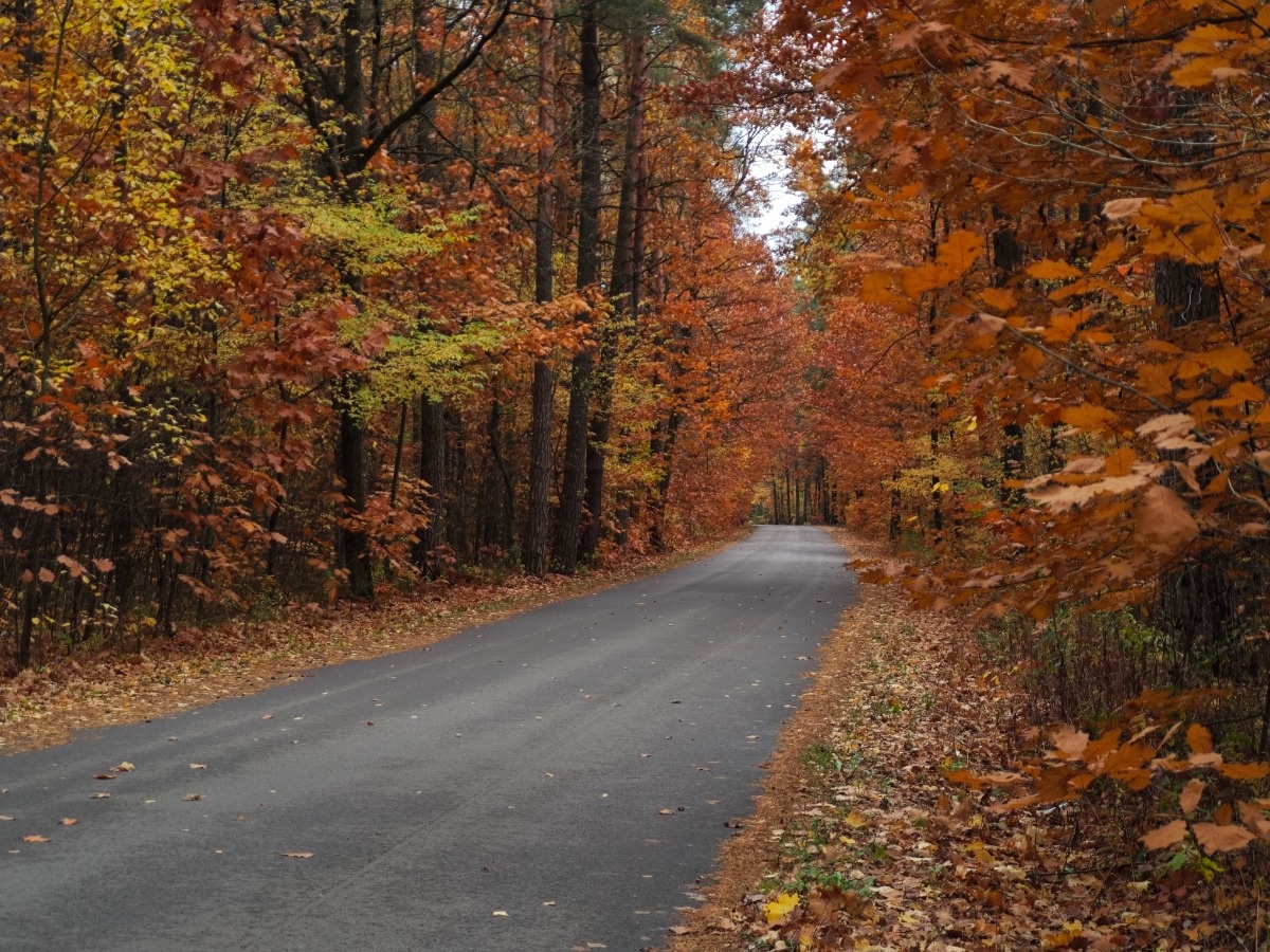 acadaa69-43fa-4873-8765-3e6ae47e3646