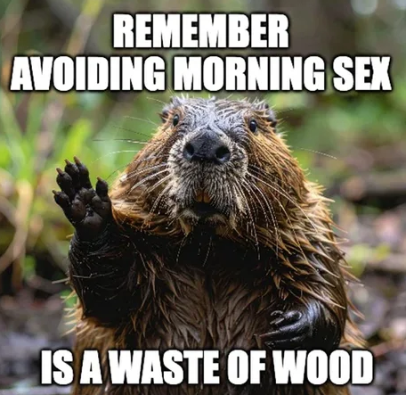 d0fa1dd0-2673-42f1-9927-e06a35fafa1e