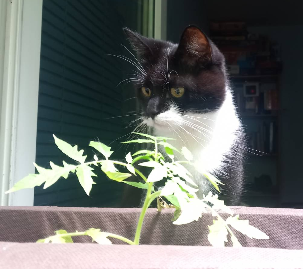 142aabae-9c19-4904-8b70-fcf406b6b6f2