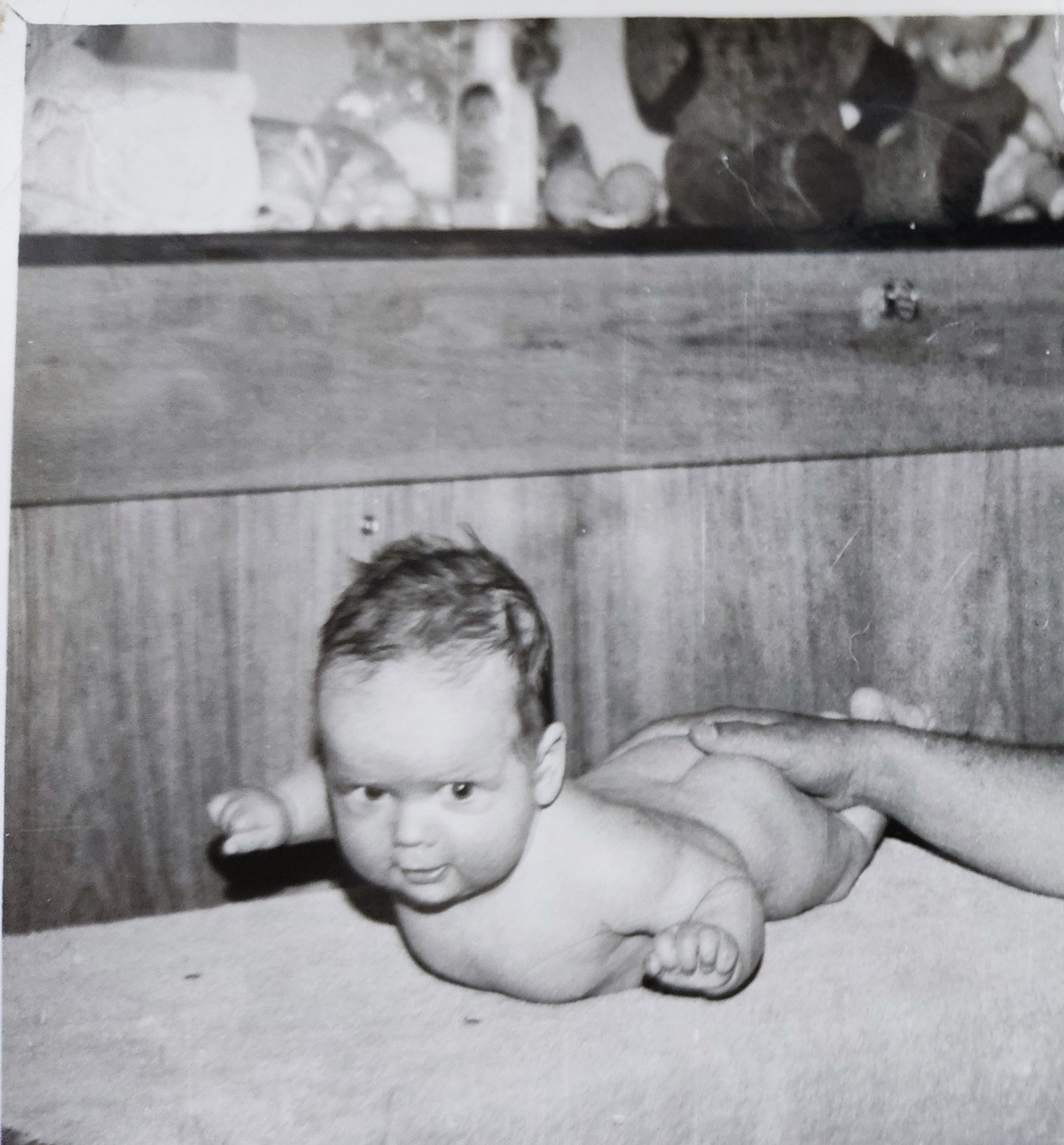 a3130e1e-1f5e-408a-850a-ad7a8f67ae36