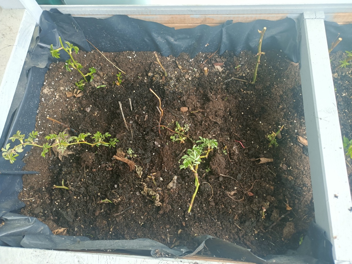 628e270d-3d35-4aa9-86b1-8aed3854d112