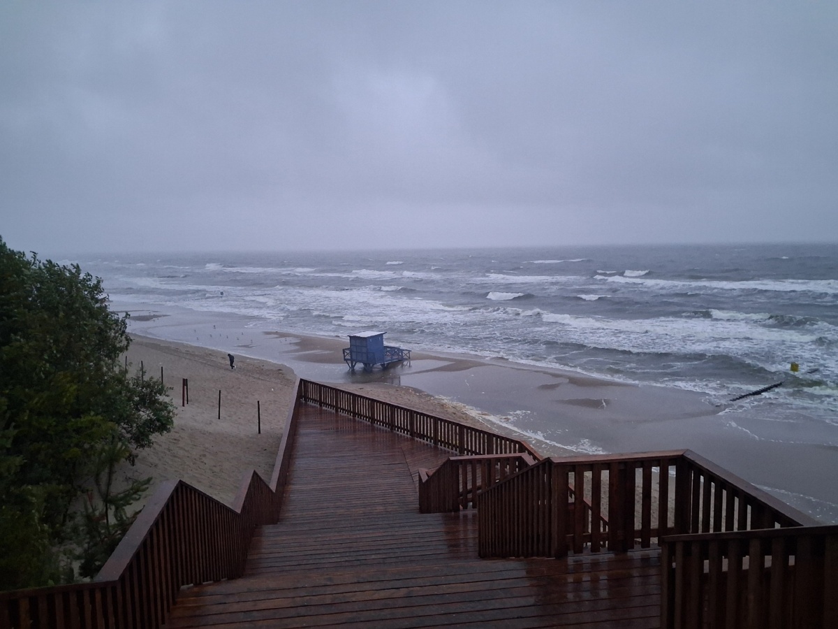 88cad49e-f186-4c42-9a50-675d2dfff45f