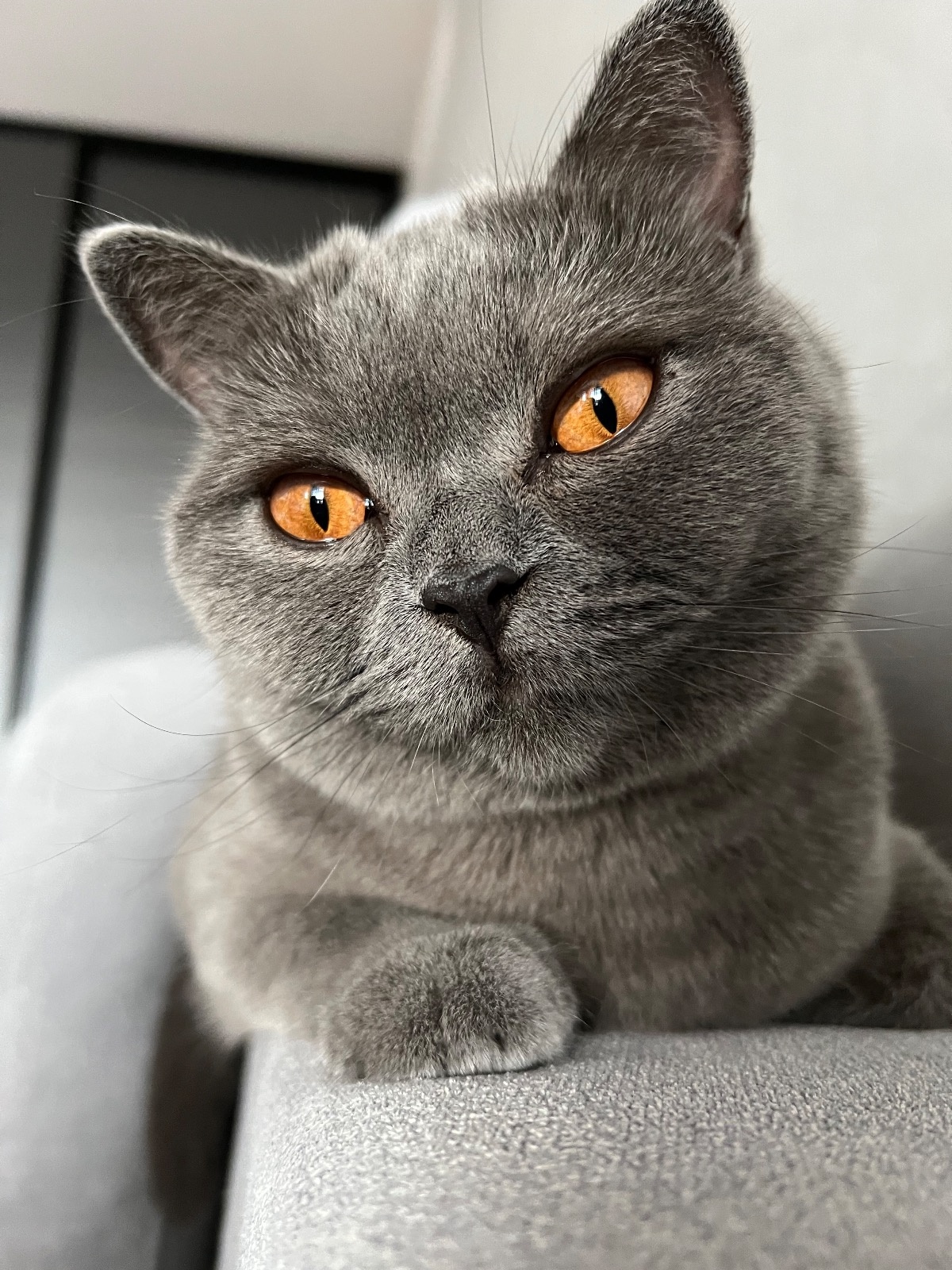 b1c35065-2191-41a1-97a6-00c4c1594dc3