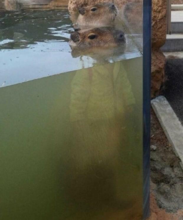 71c679ce-448e-43c5-9362-5326e68f4aed