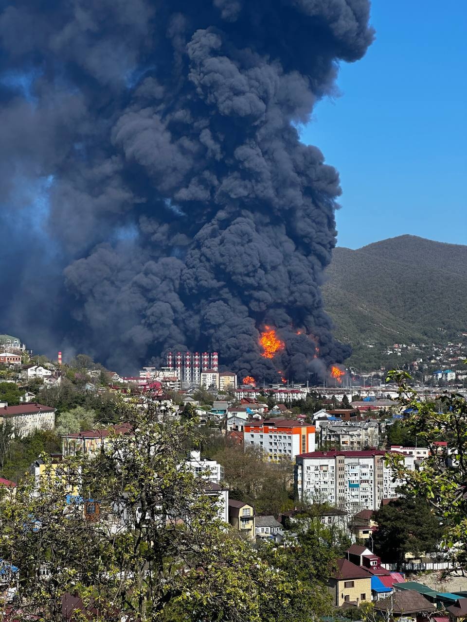 029f1c92-9260-4e25-8127-db98e99cc631