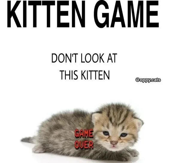 5683aed8-1fa8-4131-8fc4-0937d9fa9f8a