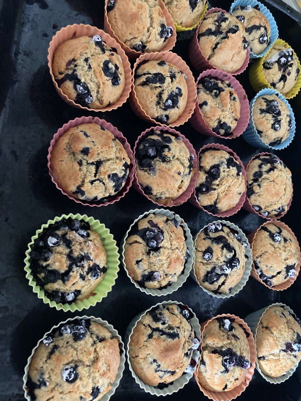 245673a5-841a-4224-a148-81b9a44995c0