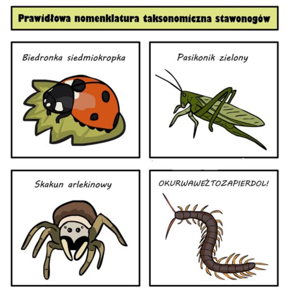 7675b9e4-ef5b-4484-b435-8d1dcf5d4e87